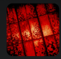 Screenshot 2025-02-24 102323.png