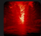 Screenshot 2025-02-24 103516.png