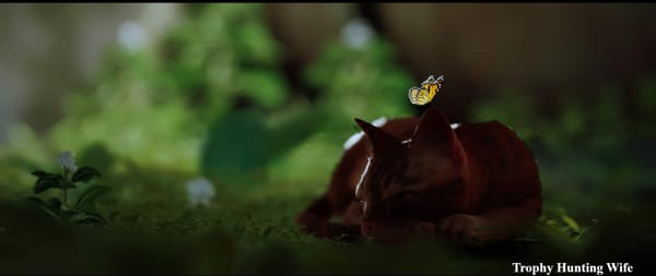 Stray | Platinum Trophy Hunting